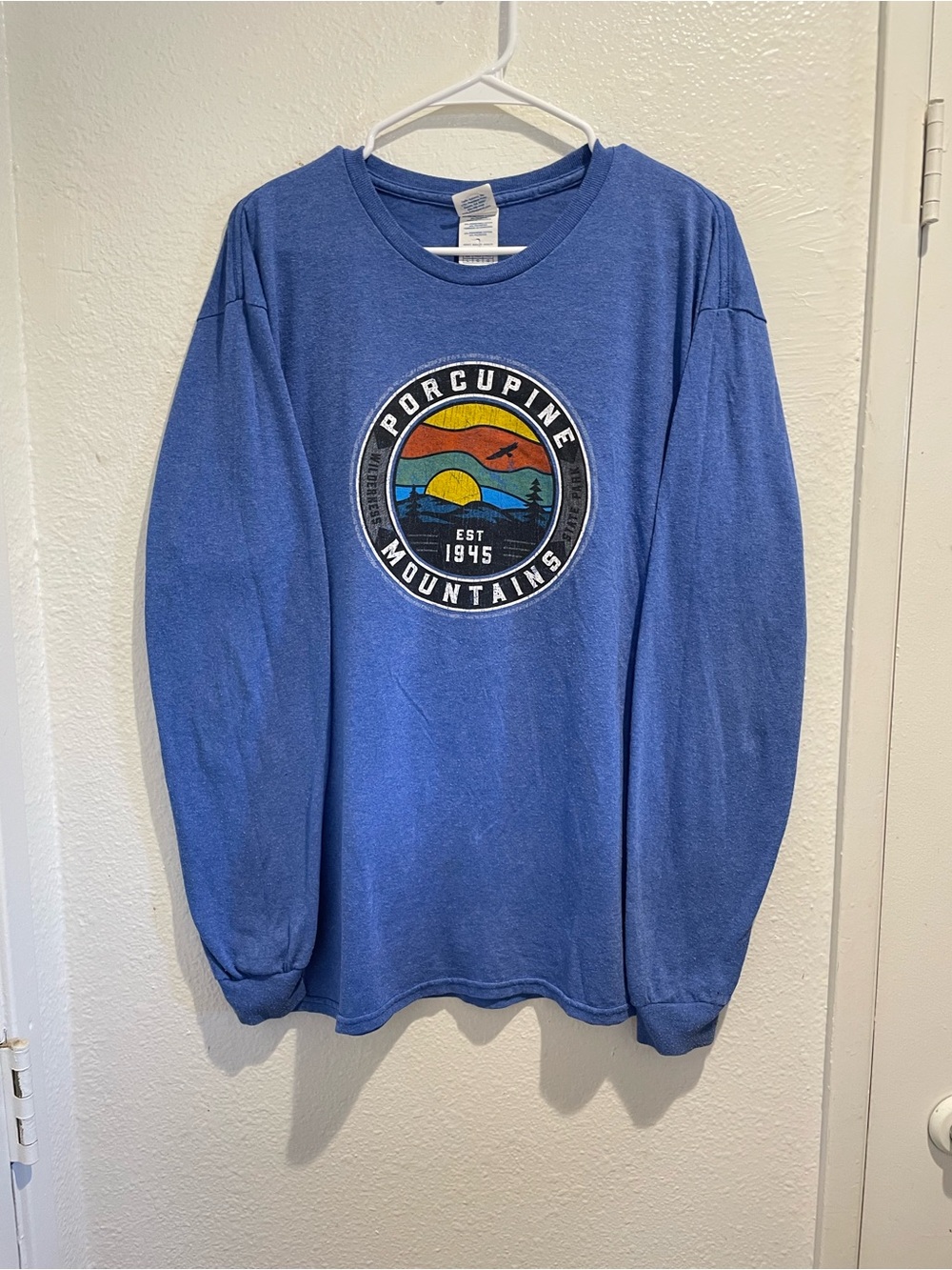 Y2K Delta Pro Weight Men's Large Blue Porcupine Mountains Long Sleeve Tee